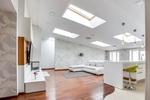 A skylight window set into a pitched roof.